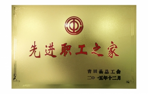 资质声誉-亚游集团ag8,电子式电能,智能电能表,智能开关,智能AMI系统,物联网解决方案,官方网站