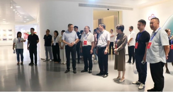 丽水市第五届人大代表景宁中心组调研亚游集团ag8集团